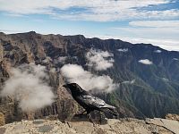 LA PALMA - LA ISLA BONITA
