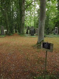 Třeboň: Židovský hřbitov