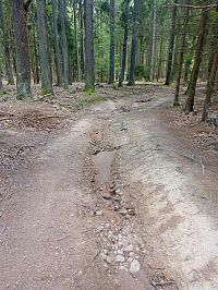 Kazatelna u Dobříše: Divoká příroda kousek od města