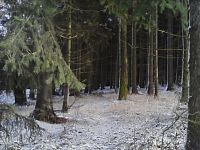 12. Příslib zimy v lese za Lidmaní.