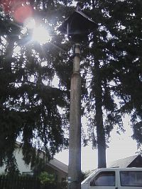 55. Zvonička v Chocově.