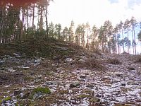 24. Lesní těžba odkryla dosud skrytou skalku