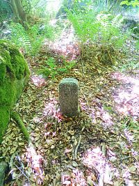 3. Kamenný mezník s vyrytým křížkem v lese