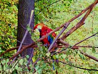 Tierpark Zittau