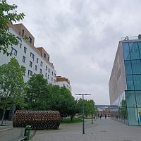 Čestmír Suška: Rezavě květy, 2006-2007.