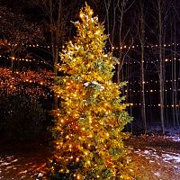 Do Vánočního městečka 2025 do Bělského lesa v Ostravě-Zábřehu