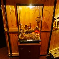 Do Vily Hanse Ulricha za návštěvou KUMŠTKABINETU bratří Formanů