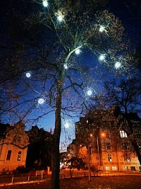 Za vánoční atmosférou do Husova sadu v Moravské Ostravě