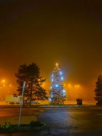 Vánoční strom naproti Úřadu městského obvodu Ostrava-Jih