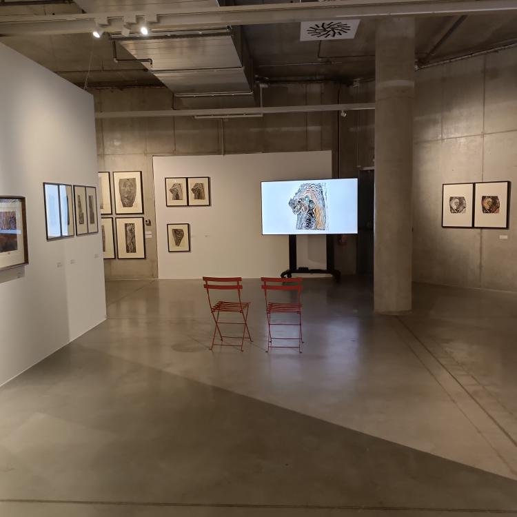 Do Galerie Gong v Dolní oblasti Vítkovic na Výstavu dřevorytů Heleny Salichové