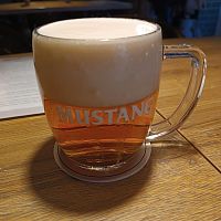 pivečko Mustang 11°