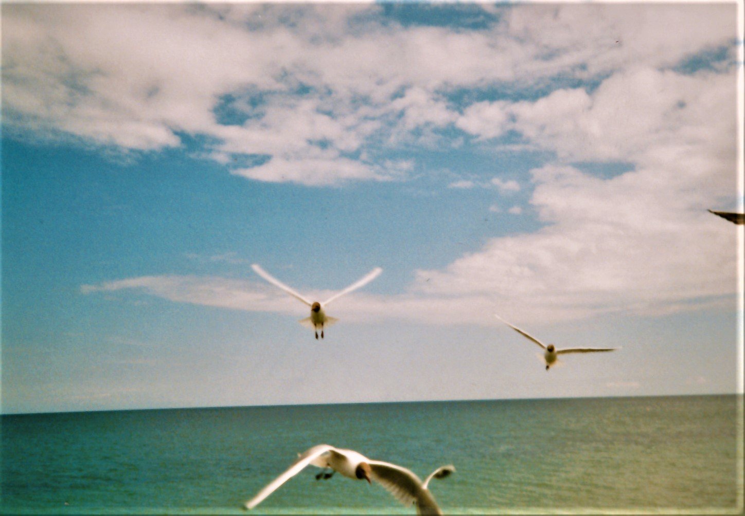 Vyhlídková plavba lodí po německém poloostrově Zingst-Darß v Meklenbursku-Předním Pomořansku