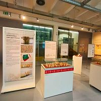 Výstava Vajíčko malované, z lásky darované - Muzeum jihovýchodní Moravy Zlín