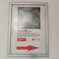 Na výstavu obrazů BARVY DUŠE - Alima do DK AKORD v Ostravě-Zábřehu