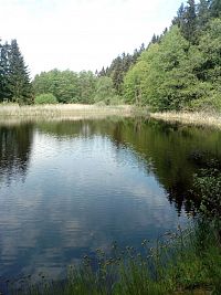 Rybník Petrchák