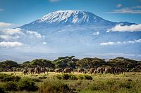 Kilimandžáro je snem každého dobrodruha