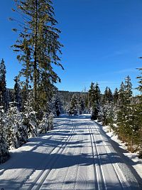 Běžky nebo pěšky Černá Hora-Březník © turisturaj.cz