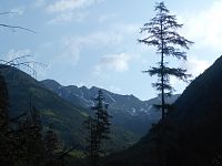 Následky letošní dubnové laviny v Žiarské dolině (kousek pod chatou).