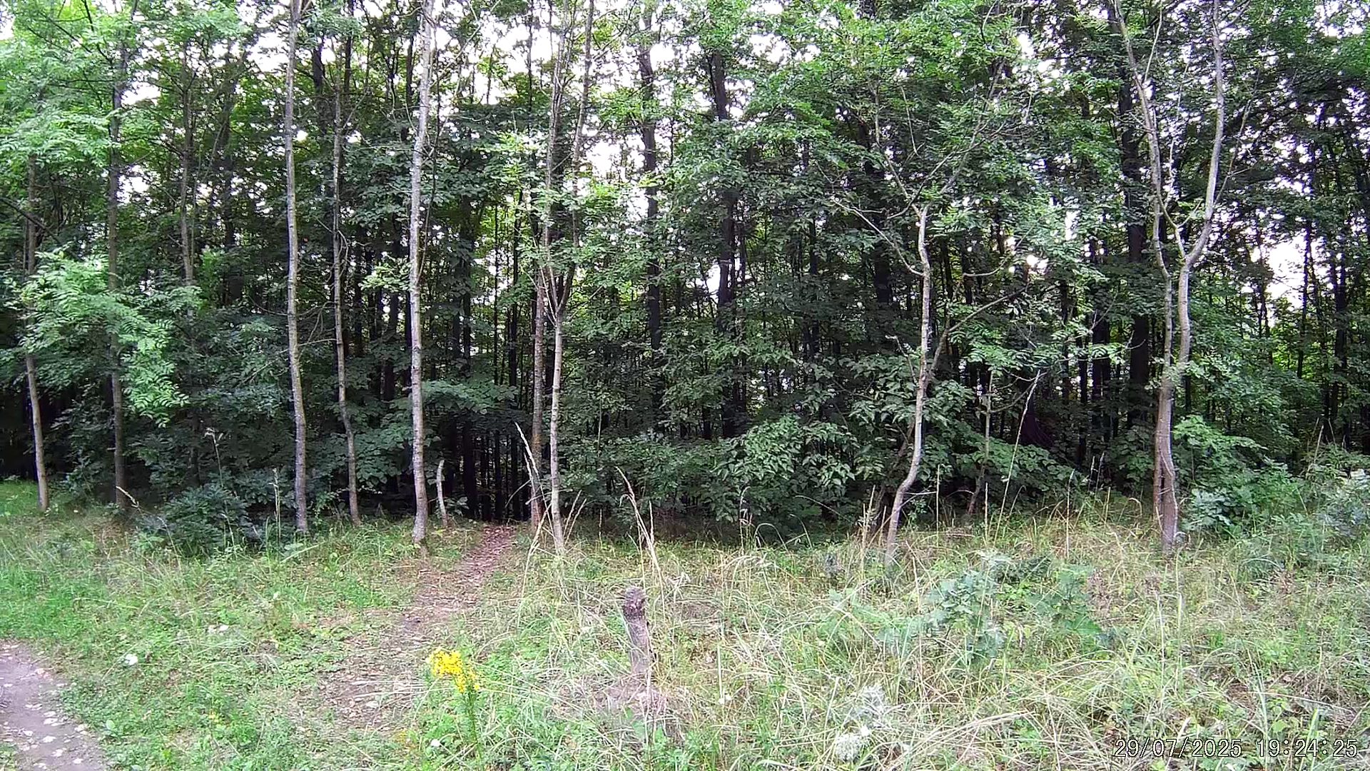 Galerie GENGUR na západním úpatí ostravské "Malé" haldy Ema.