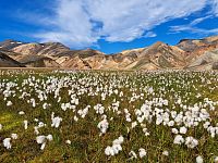 Landmannalaugar - po čtyřech dnech putování dorazíte na toto nádherné místo