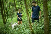 MERINO AIR A BLEND LIFESTYLE