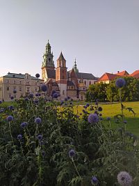 Wawel královský hrad Krakov