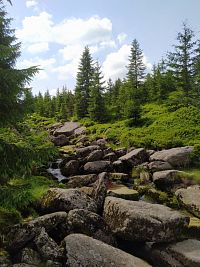 Jizerské hory - Štolpišská silnice, E3 hřebenovka, Stezka kancléře P. Šámala