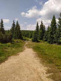 Jizerské hory - Štolpišská silnice, E3 hřebenovka, Stezka kancléře P. Šámala