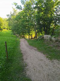 Pohádková cesta, Lesopark Na Sluneční Zahrada, Kořenov - Příchovice
