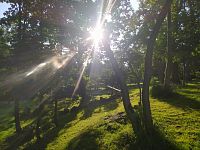 Lesopark Na Sluneční Zahrada, Kořenov - Příchovice