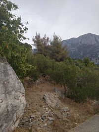 Chorvatsko, Gradac, cesta na hřbitov a kostel sv. Antonína