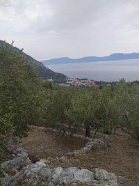 Chorvatsko, Gradac, cesta na hřbitov a kostel sv. Antonína, olivové háje kolem cesty