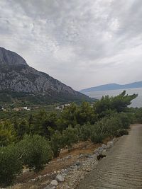 Chorvatsko, Gradac, cesta na hřbitov a kostel sv. Antonína, olivové háje kolem cesty