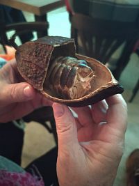 Povídání o čokoládě pro veřejnost Vizovice