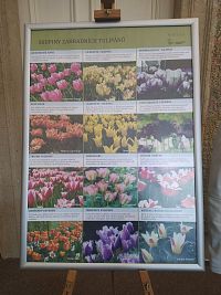 Zámecký park Buchlovice - výstava tulipánů