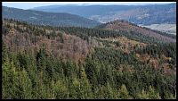 Desítky skalních útvarů skrývají stromy nad údolím obce Ludvíkov. Vpravo v pozadí Zámecká hora a Vrbno p.P.