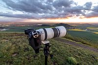 Recenze: CANON RF 100-500 mm - Univerzální objektiv fotografa přírody