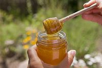 Jihotyrolský med, ©Frieder Blickle, Roter Hahn