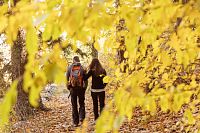 Podzimní procházka kaštanovou alejí