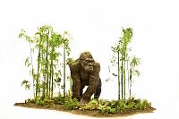 Pravěcí tvorové zblízka