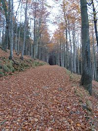 Zkratka k chatě na Ostrém - otočka