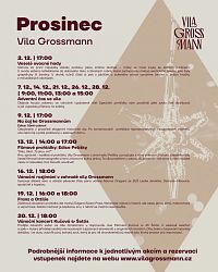 Prosinec ve Vile Grossmann