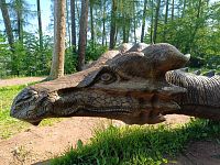 Trutnov, legenda draka