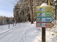 Krkonoše, Trutnov, běžecký ráj, bílé stopy