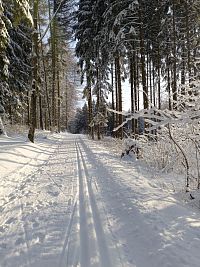 Krkonoše, Trutnov, běžecký ráj, bílé stopy