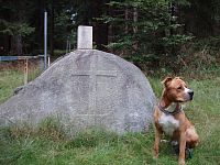 Lesná - Křížový kámen: Přes několik staletí ke státní hranici (okružní trasa 26 km)
