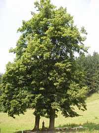 Cyklotoulání po valašských kotárech (okružní 47 km)