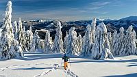 Donovaly si vás získají upravovanými sjezdovkami, profesionální překážkovou dráhou i luxusním freeridem mezi stromy. (© PARK SNOW Donovaly)