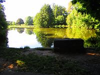 Rybník Na Obci (Obecní, Věkošský)