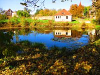 Rybník Barbora (Hoříněves)